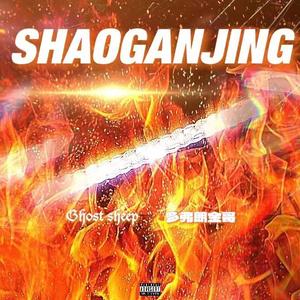 烧干净Feat.多弗朗金哥