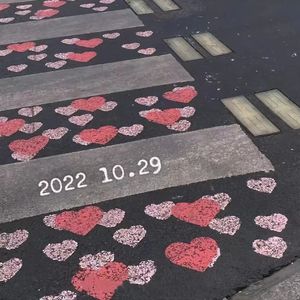 矢车菊(To my MOM)