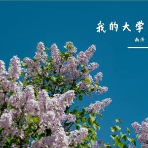 我的大学