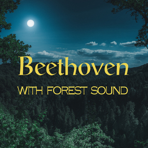 Beethoven : Piano Sonata No.14 In C Sharp Minor Op.27-2 `Moonlight` - II. Allegretto (베토벤 : 피아노 소나타 14번 올림 다단조 작품번호 27-2 `월광` - 2악장)
