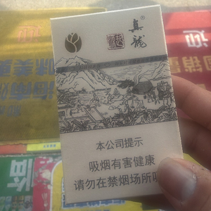槐树等我