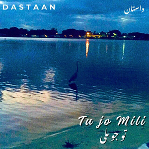 Tu jo Mili