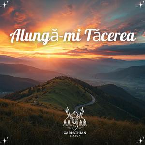 Alungă-mi Tăcerea