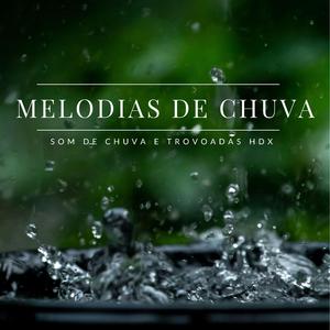 Harmonia de Chuva, Pt. 8