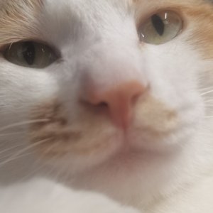 逛早市（纯音乐）