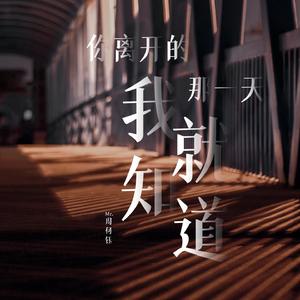 你离开的那一天我就知道