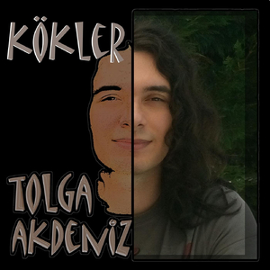 Kökler
