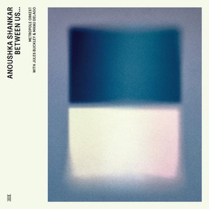 Maya (feat. Manu Delago) (Live)