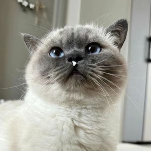 10.21 16.00 再见青春—kiyoumix