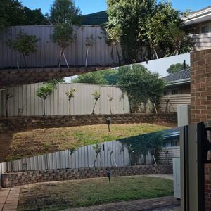 在现场 但 不在场