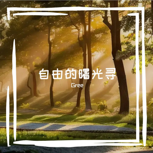 追寻那自由之光