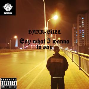 Say what I wanna say