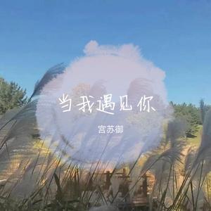 当我遇见你