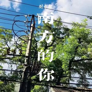 南方的你