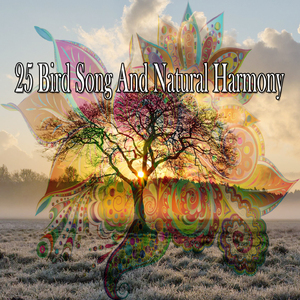 在人行道上跳绳