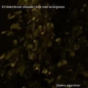 Dödens algoritmer VIII