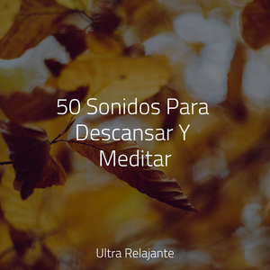 Ritmos De Latidos