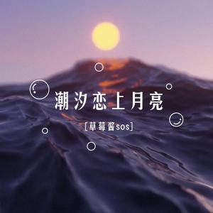 潮汐恋上月亮