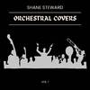 Shane Steward - Overworld Theme (From 