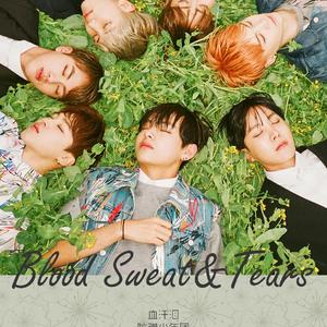血汗泪 blood sweat&tears（cover bts）