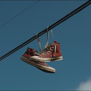 집으로 가는 길