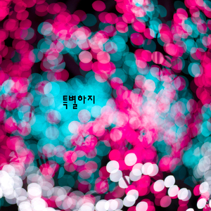 특별하지 (feat. Ellie Love) (Acappella)