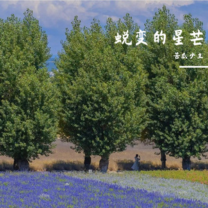 心有梦就闯