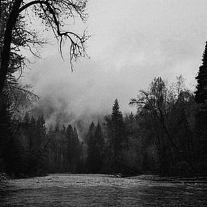 dont go / let go (sunflower feelings remix)