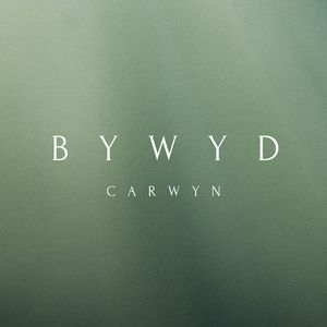 Bywyd
