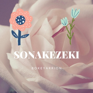 Sonakezeki