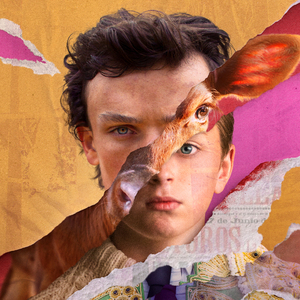 Tauromachia