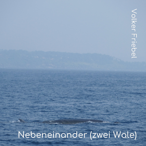 Nebeneinander (zwei Wale) (Single Edit)