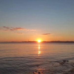 酸黄瓜 (网络神曲)