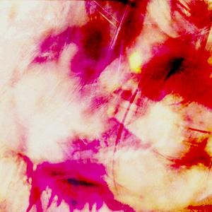 curly (before celeste)