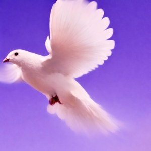 White Doves