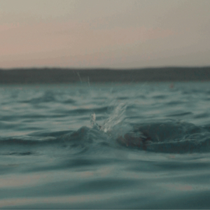 Remettre à plus loin