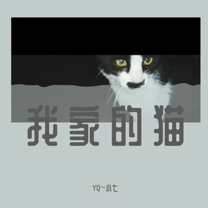 我家的猫