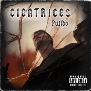 Cicatrices