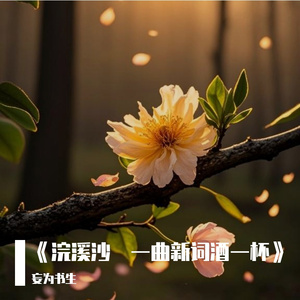 《浣溪沙・一曲新词酒一杯》