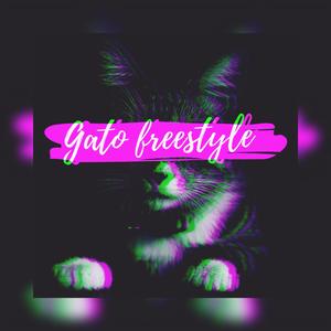 Gato Freestyle (feat. Masta Frogg)