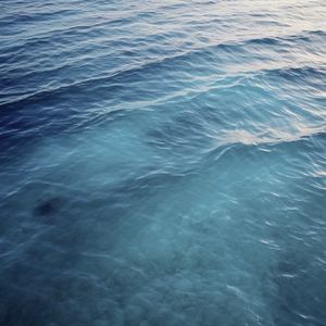 Lavender (Thunderstorm)