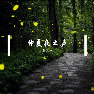 Optimized-Yesterdayoncemore(1991Remix)—郭冠申