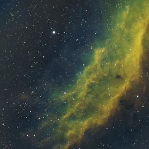 劳伦斯先生圣诞快乐