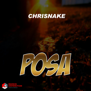 Posa