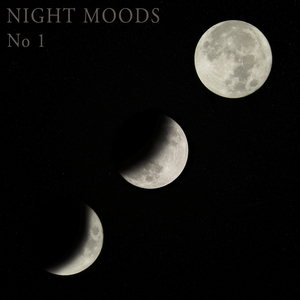 Night Moods No 1