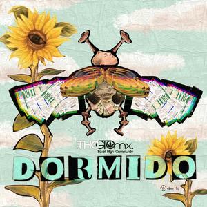 Dormido