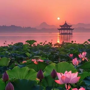 笼中的金丝雀（轻音乐）