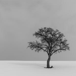 Improvisation No.102