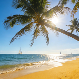 活在回忆里与你相伴