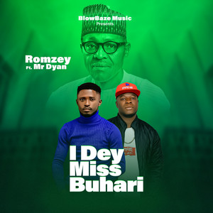 I Dey Miss Buhari